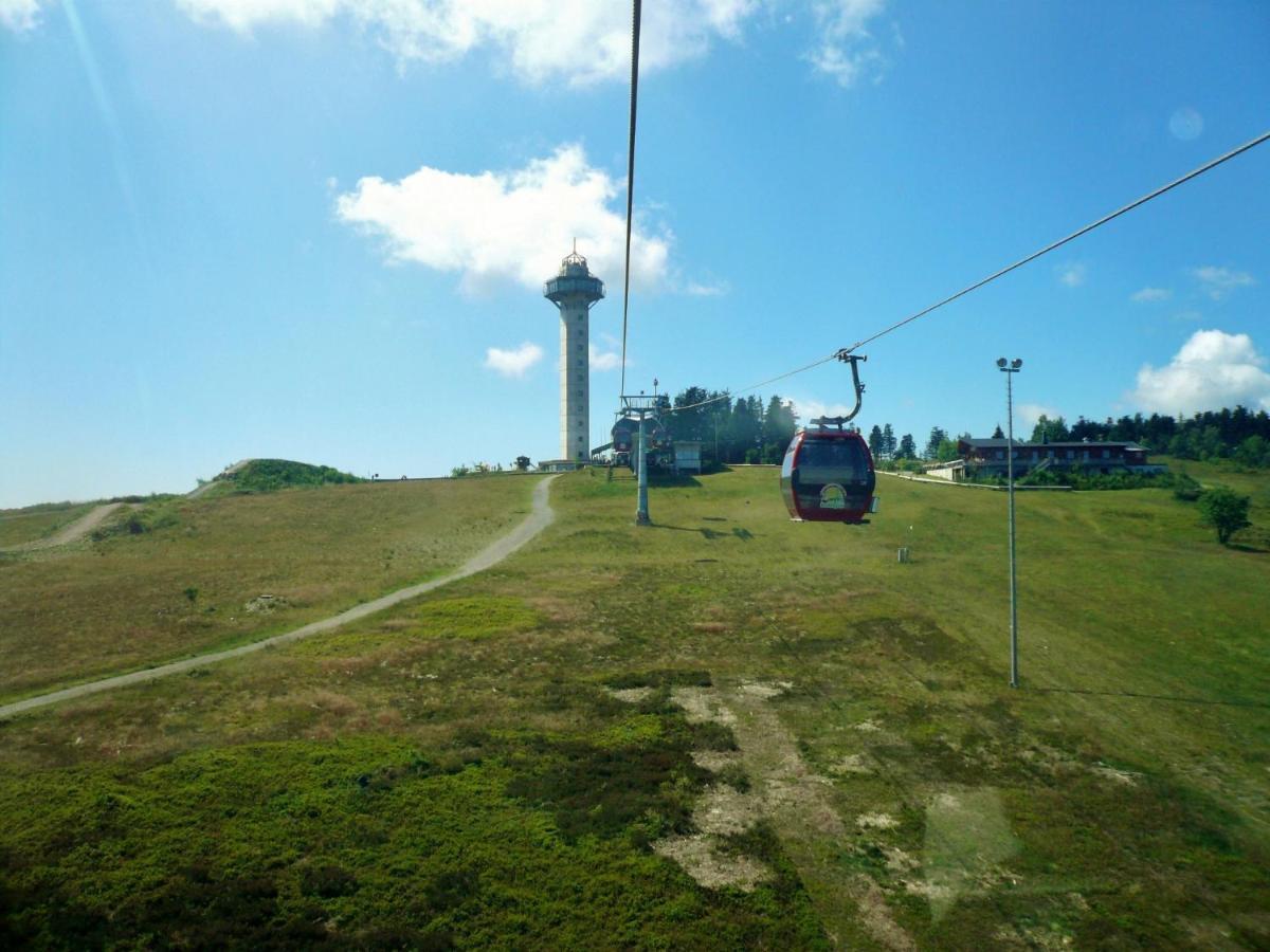 Haus am Sonnenlift - Fewo A Willingen  Exterior foto
