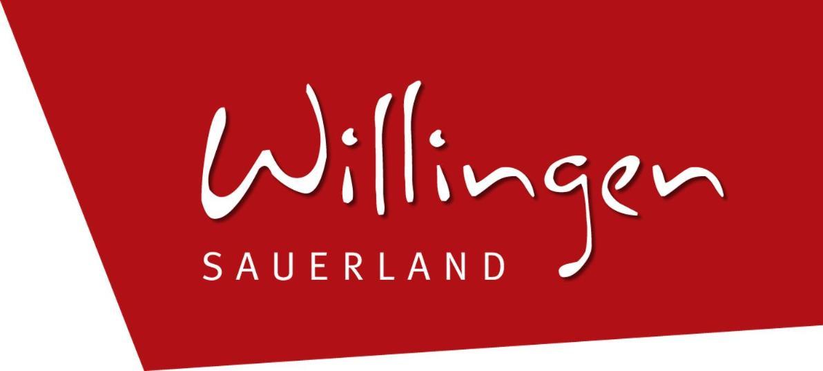 Haus am Sonnenlift - Fewo A Willingen  Exterior foto
